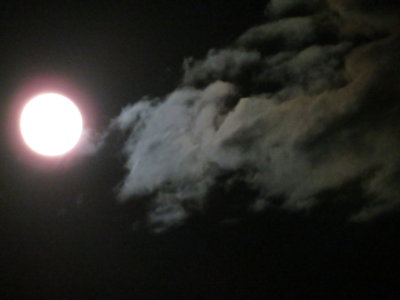 Harvest Moon_9-30-2012 133.JPG