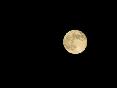 Harvest Moon_9-30-2012 138.JPG