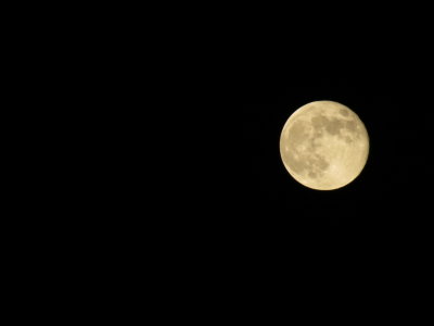 Harvest Moon_9-30-2012 140.JPG