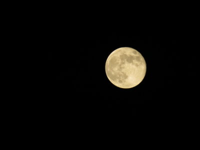 Harvest Moon_9-30-2012 143.JPG