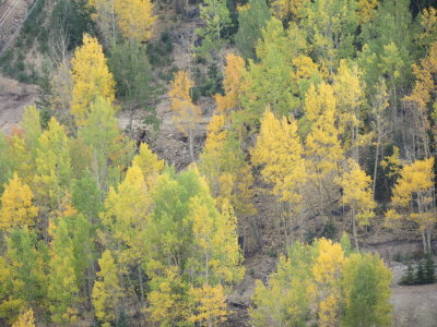 Harvest Moon_9-30-2012 024.JPG