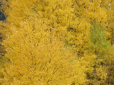 Vacation_2012_Part2 680.JPG