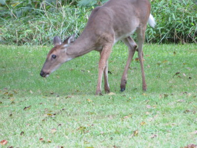 Vacation_2012 644.JPG