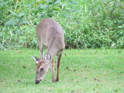 Vacation_2012 649.JPG