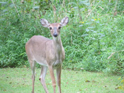 Vacation_2012 657.JPG