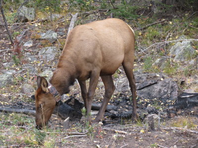 Vacation_2012_Part2 450.JPG