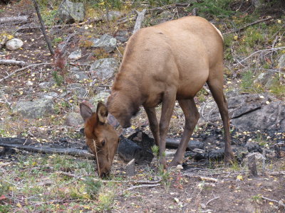 Vacation_2012_Part2 451.JPG