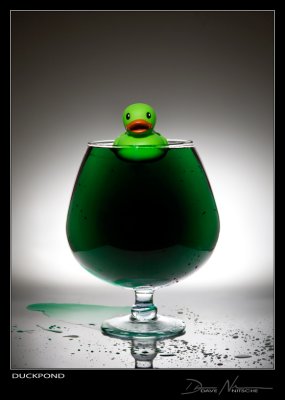 Duck Pond