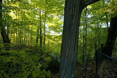18 MileHDR2.jpg