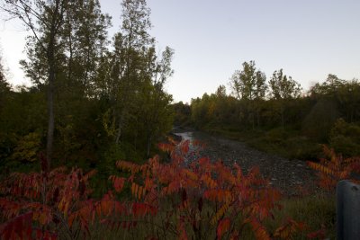 101108_0561.jpg