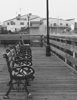 Fisherman's Wharf - Benches