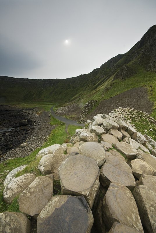 DSC_4974.jpg