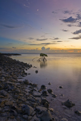 Bonefish Point Sunset