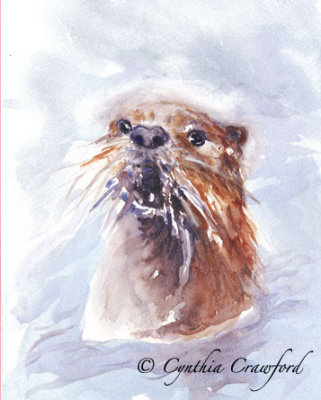 River Otter