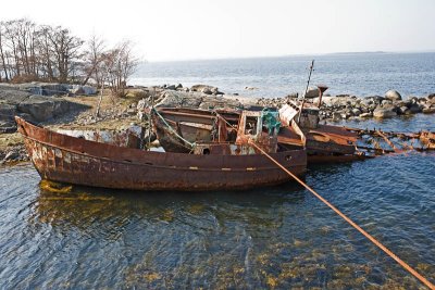 XY3B5713.jpg