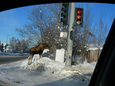 DSCN3418.JPG