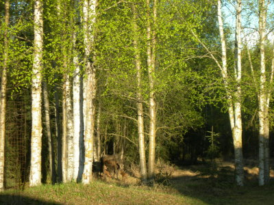 DSCN4881.JPG