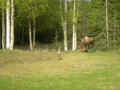 DSCN4947.JPG