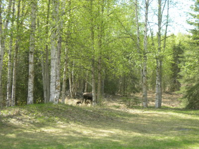 DSCN4965.JPG