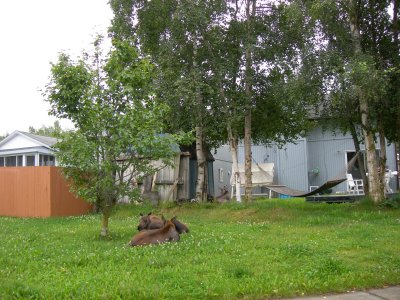 DSCN5411.JPG