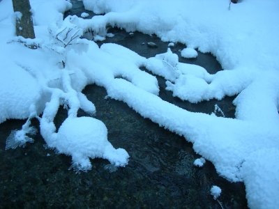 DSCN6902.JPG