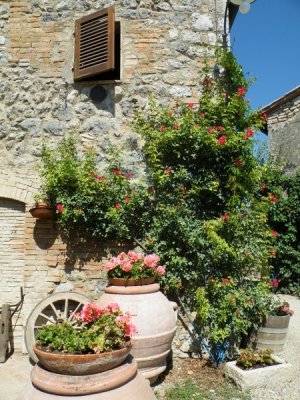 Fattoria San Donato