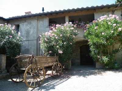 Fattoria San Donato