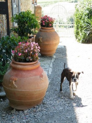 Fattoria San Donato