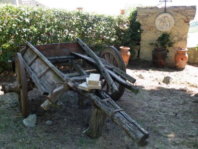 Fattoria San Donato