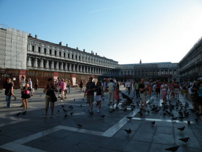 g1/88/527988/3/103244321.wTNSSk7Q.jpg