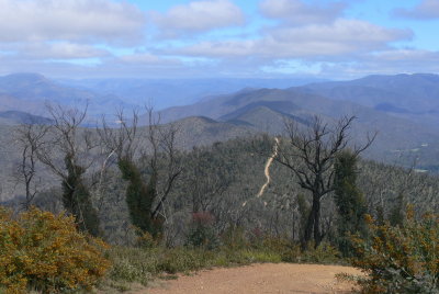 Descending Randalls Track, Grant