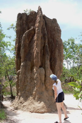 Termite Mound, Litchfield National Park