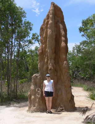 Termite Mound, Litchfield National Park