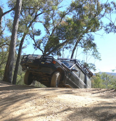 Rowie exiting Fultons Creek Track