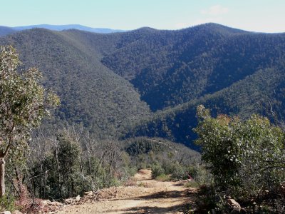 Macalister River Gorge, at base of Burgoyne Gap Track