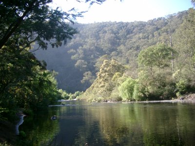 FIG 1 LOOKING UPSTREAM ON MACALISTER 2003