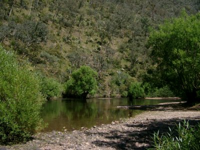 FIG  8, POOL AT BASE OF MACALISTER GORGE