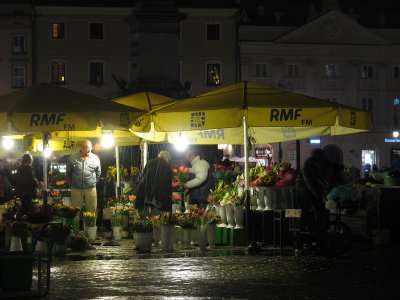 Flowers at Night