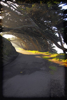 path to the lighthouse