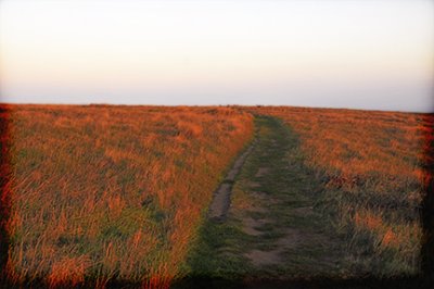 sunset path