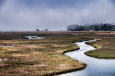 estuaries