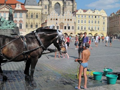Watering the Horse, Prague