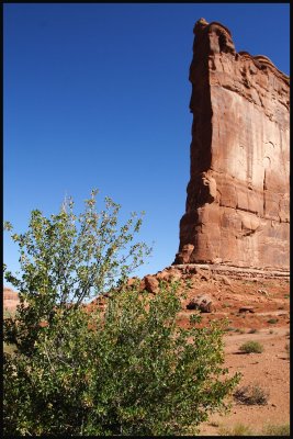 IMG_5028_edited-2.jpg