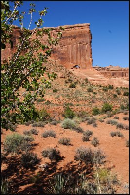 IMG_5036_edited-2.jpg