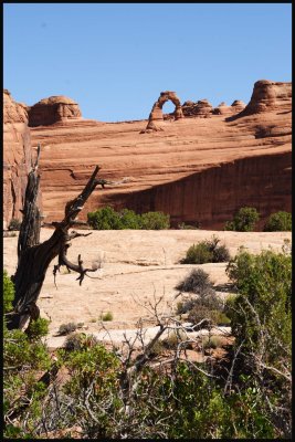 IMG_5051_edited-2.jpg