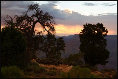 Grand Canyon NP