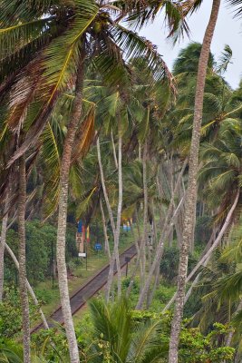 View of Train at Taj Exotica