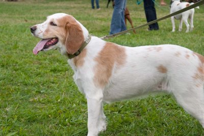 CRW_0812.jpg