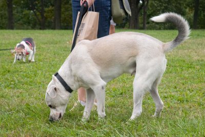 CRW_0815.jpg