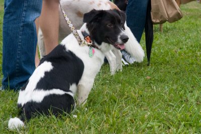 CRW_0823.jpg